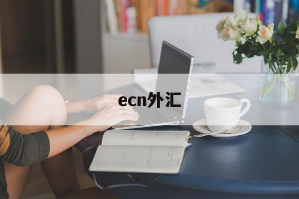 ecn外汇(ecn外汇是什么意思)